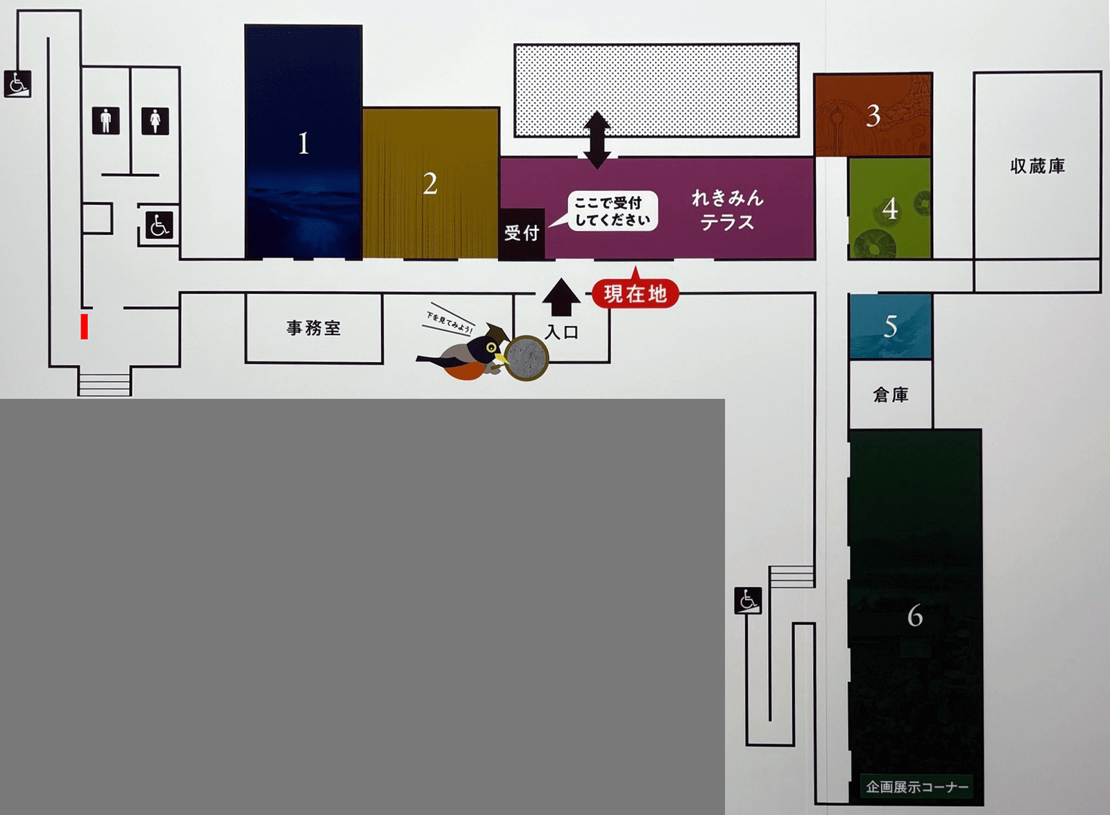 하치조지마 역사와 민속 박물관